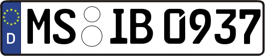 MS-IB0937
