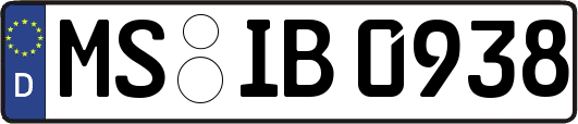 MS-IB0938