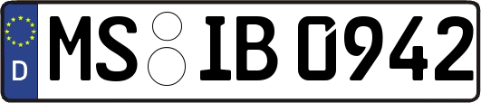 MS-IB0942