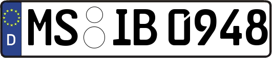 MS-IB0948