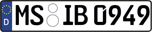 MS-IB0949
