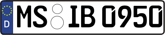 MS-IB0950