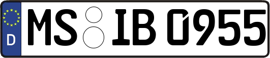 MS-IB0955