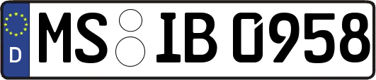 MS-IB0958