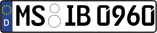 MS-IB0960