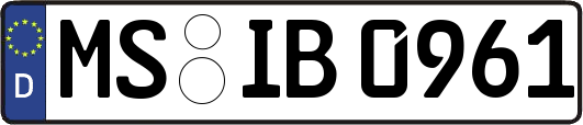MS-IB0961
