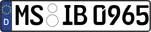 MS-IB0965