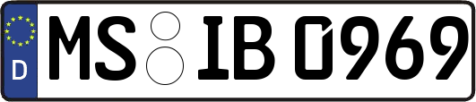 MS-IB0969