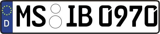MS-IB0970