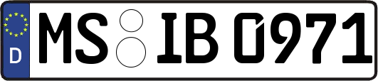 MS-IB0971
