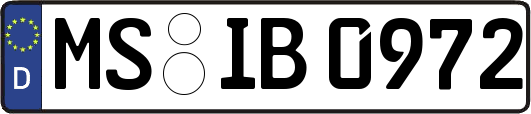 MS-IB0972