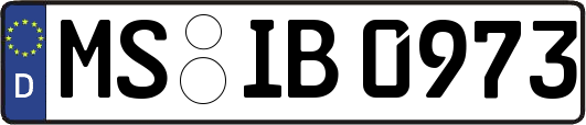 MS-IB0973