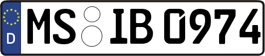 MS-IB0974