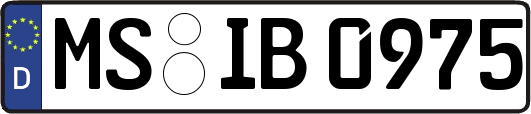 MS-IB0975