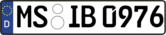 MS-IB0976