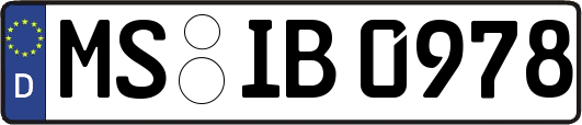MS-IB0978
