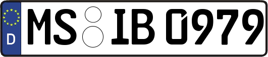 MS-IB0979