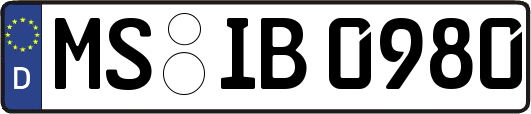 MS-IB0980