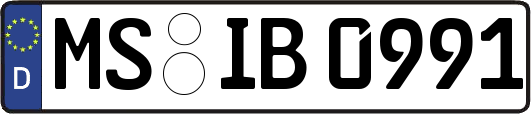 MS-IB0991