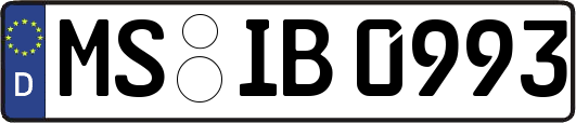 MS-IB0993