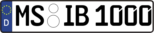 MS-IB1000