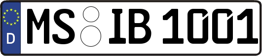 MS-IB1001