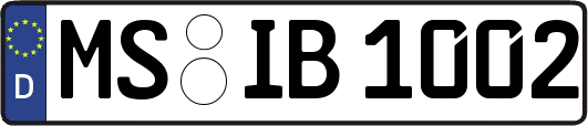 MS-IB1002