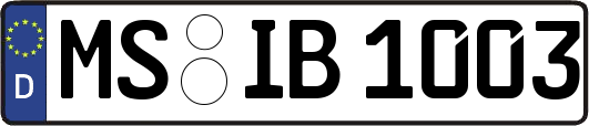 MS-IB1003