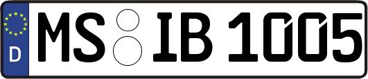MS-IB1005