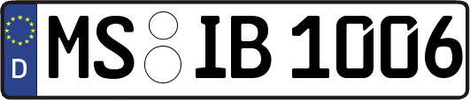 MS-IB1006