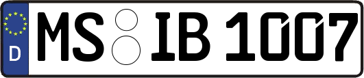 MS-IB1007