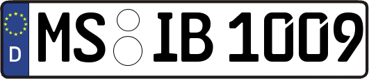 MS-IB1009