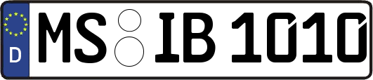 MS-IB1010