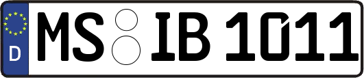 MS-IB1011