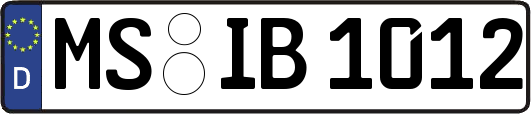 MS-IB1012