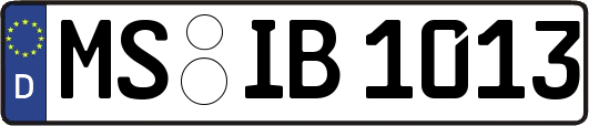 MS-IB1013