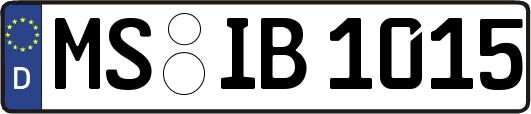 MS-IB1015