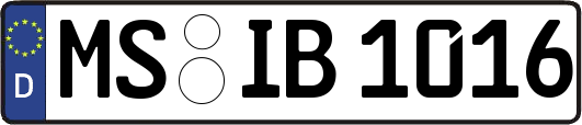 MS-IB1016