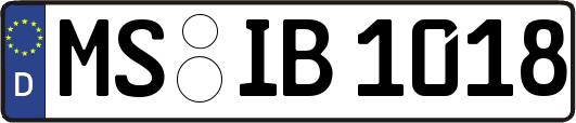 MS-IB1018