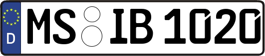 MS-IB1020