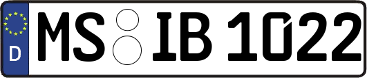 MS-IB1022