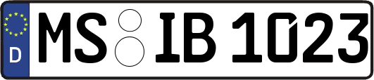 MS-IB1023