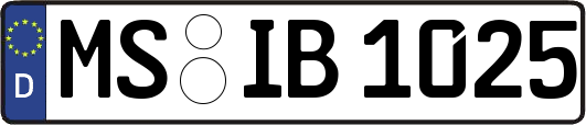 MS-IB1025
