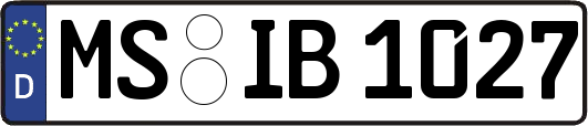 MS-IB1027