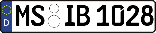 MS-IB1028