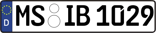 MS-IB1029