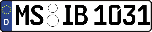 MS-IB1031