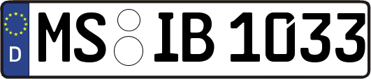 MS-IB1033