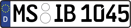 MS-IB1045