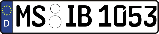 MS-IB1053